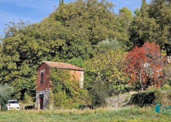 Terreno - Rustic strada maciurina, Vallebona - photo 2