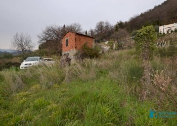 Terreno - Rustic strada maciurina, Vallebona - photo 9
