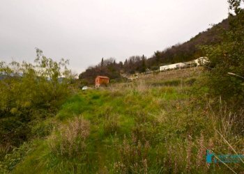 Terreno - Rustic strada maciurina, Vallebona - photo 11