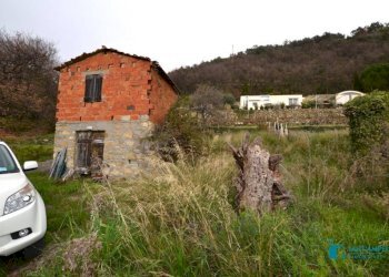 Terreno - Rustic strada maciurina, Vallebona - photo 14