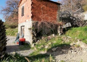 Terreno - Rustic strada maciurina, Vallebona - photo 18