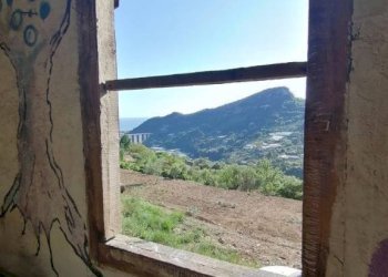 Vista - Rustic strada maciurina, Vallebona - photo 22