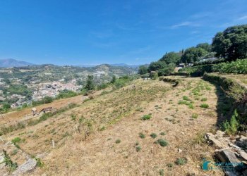 Terreno - Rustico strada maciurina, Vallebona - foto 7