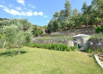 1585-11-giardino - Villa strada nerussi, Soldano - foto 10