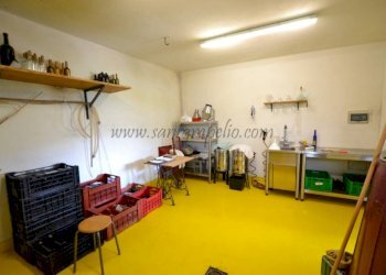 1585-34-locale,cantina.1 - Villa strada nerussi, Soldano - foto 25