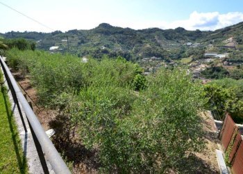 1585-46-uliveto.1 - Villa strada nerussi, Soldano - foto 31