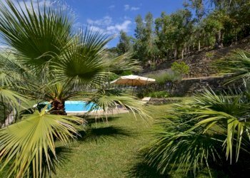 1585-giardino.3 - Villa strada nerussi, Soldano - foto 38