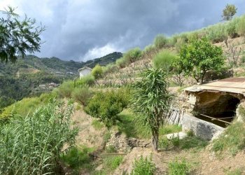 Terreno - Terreno edificabile Soldano - foto 5