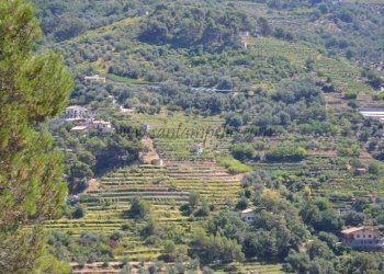 Vista - Terreno edificabile Soldano - foto 6