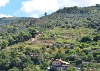 Vista - Terreno edificabile Soldano - foto 9