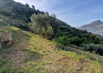 Terreno - Terreno edificabile Soldano - foto 13