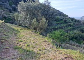 Terreno - Terreno edificabile Soldano - foto 14