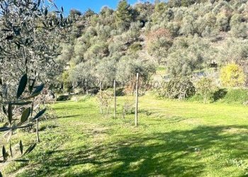 1005 - Villa località barbaira, Dolceacqua - photo 15