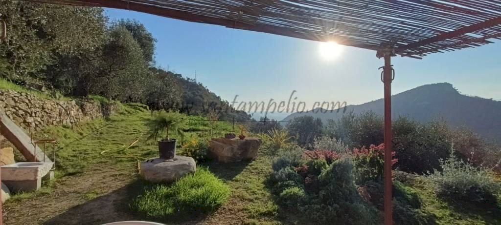 photo1675154567 (6) - Villa Vallebona - photo 3