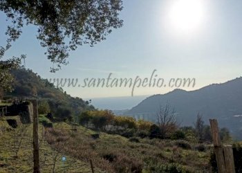 photo1675154567 (8) - Villa Vallebona - foto 2