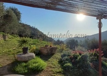 photo1675154567 (6) - Villa Vallebona - foto 3