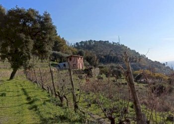 photo1675154567 (9) - Villa Vallebona - foto 6