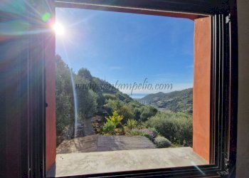 Vista - Villa Vallebona - photo 16