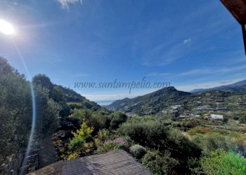 Vista - Villa Vallebona - photo 17