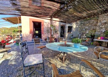 Giardino - Villa Vallebona - photo 26