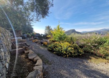 Terreno - Villa Vallebona - foto 28