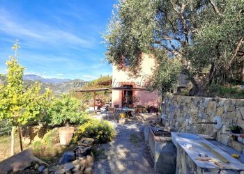 Giardino - Villa Vallebona - foto 31