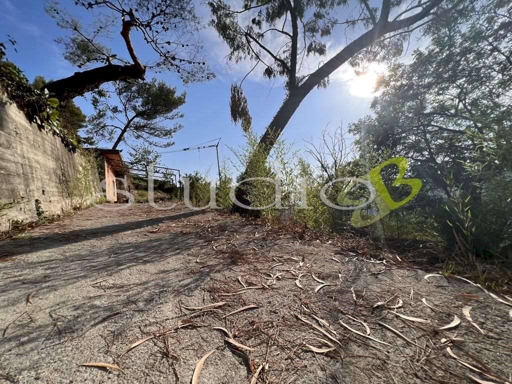 imm_11772-1024-.jpg - Terreno edificabile corso Bernardo Leone, Seborga - foto 2