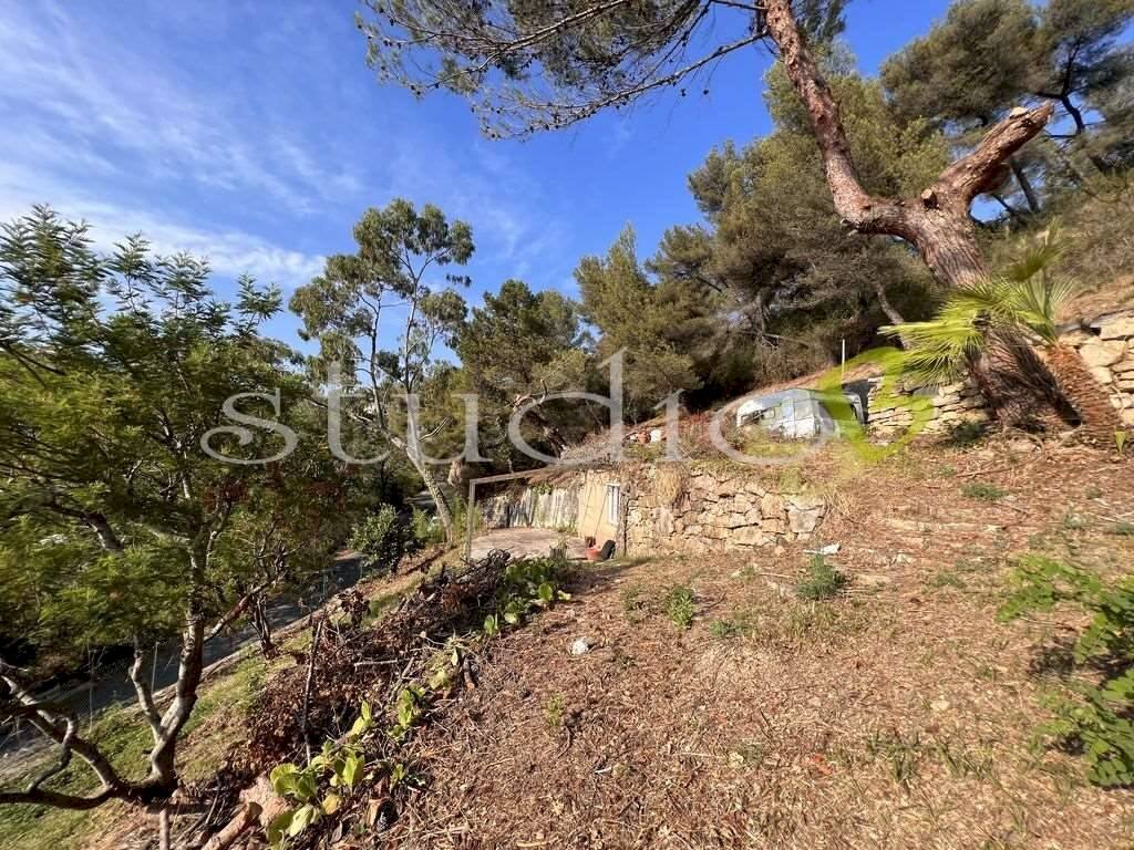 imm_11773-1024-.jpg - Terreno edificabile corso Bernardo Leone, Seborga - foto 3