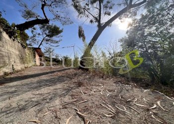 imm_11772-1024-.jpg - Terreno edificabile corso Bernardo Leone, Seborga - foto 2