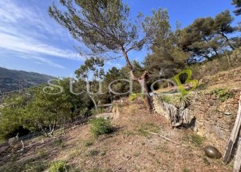 imm_11774-1024-.jpg - Terreno edificabile corso Bernardo Leone, Seborga - foto 4