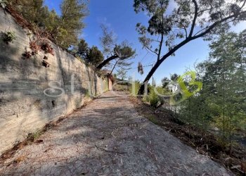 imm_11776-1024-.jpg - Terreno edificabile corso Bernardo Leone, Seborga - foto 6