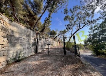 imm_11777-1024-.jpg - Terreno edificabile corso Bernardo Leone, Seborga - foto 7