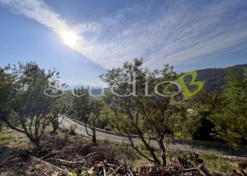 imm_11778-1024-.jpg - Terreno edificabile corso Bernardo Leone, Seborga - foto 8