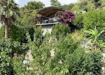 Giardino - Attico corso Bernardo Leone, snc, Seborga - foto 17