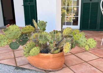 Veranda - Villa strada della Villa, Seborga - foto 21