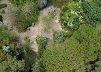 Villa via Toscanini, snc, Ventimiglia - foto 8