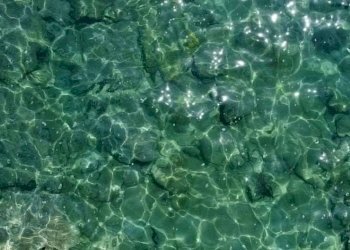 Villa via Toscanini, snc, Ventimiglia - foto 13