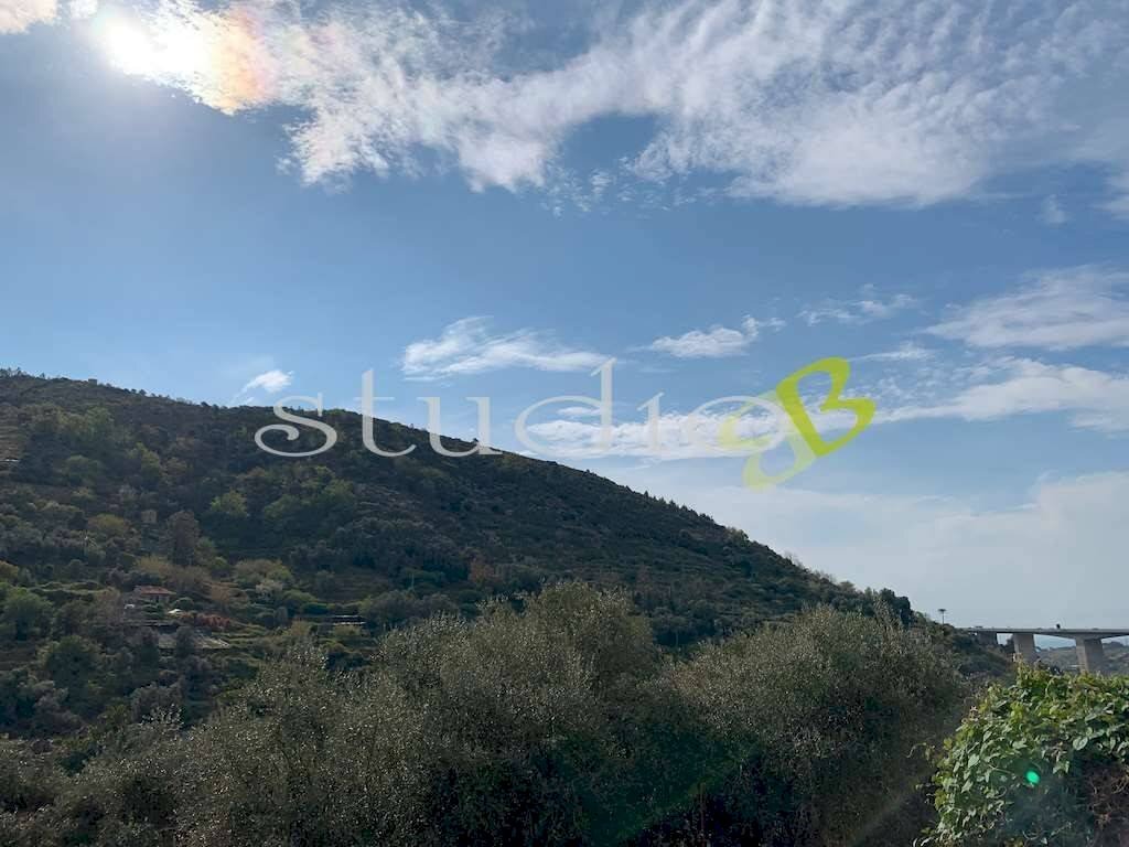 Vista - Rustic Silvio pellico, snc, Bordighera - photo 3