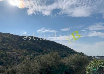 Vista - Rustico Silvio pellico, snc, Bordighera - foto 3