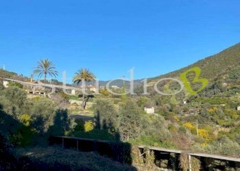 Vista - Rustico Silvio pellico, snc, Bordighera - foto 5
