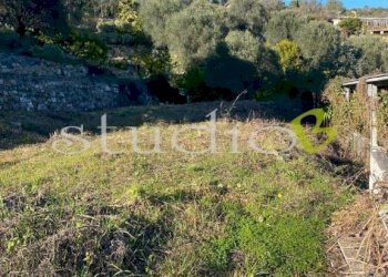 Terreno - Rustico Silvio pellico, snc, Bordighera - foto 6
