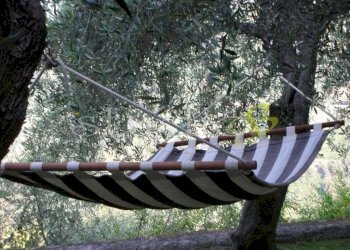 Giardino - Villa via Passo del Bandito, snc, Seborga - foto 23