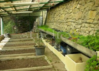 Giardino - Villa via Passo del Bandito, snc, Seborga - foto 27