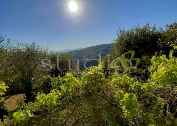 Villa strada Villa, snc, Seborga - foto 5