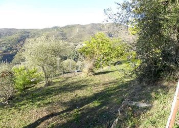 Villa strada Villa, snc, Seborga - foto 13