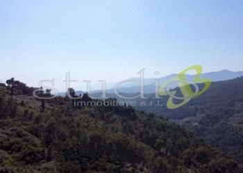 Villa strada Villa, snc, Seborga - foto 16