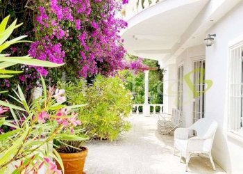 Giardino - Villa Capo Mortola, snc, Ventimiglia - foto 15