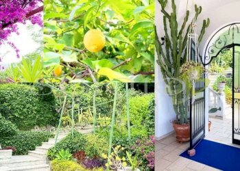 Giardino - Villa Capo Mortola, snc, Ventimiglia - foto 16