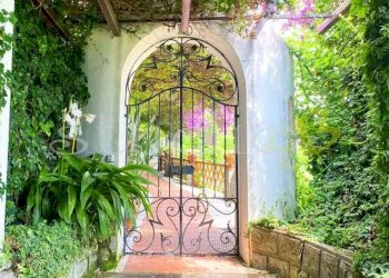 Giardino - Villa Capo Mortola, snc, Ventimiglia - foto 18