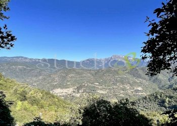 imm_14046-1024-.jpg - Appartamento via Gioberti, snc, Perinaldo - foto 1